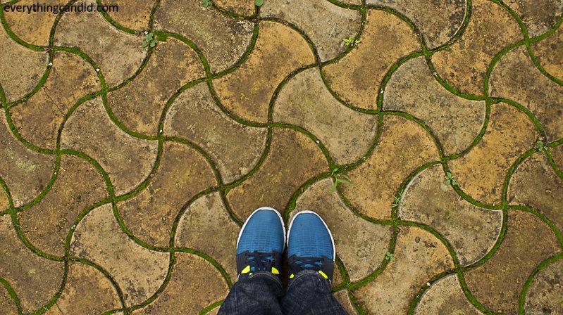 Go Chhattisgarh: 5 Surprises From My 5 Days Road Trip